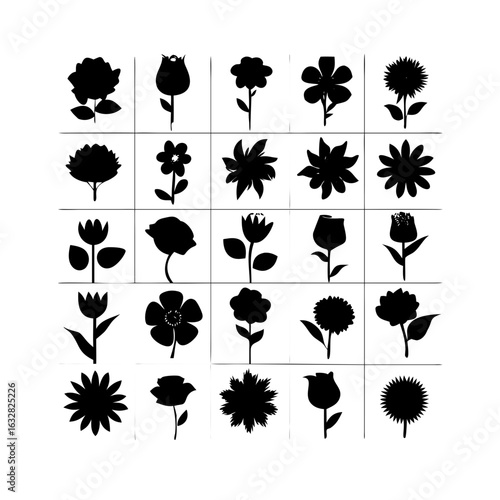 25 Flowers: Nature’s Colorful Blooms