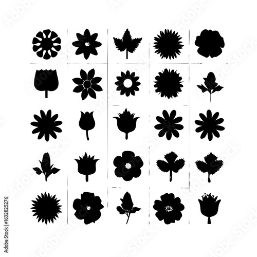 25 Flowers: Nature’s Colorful Blooms
