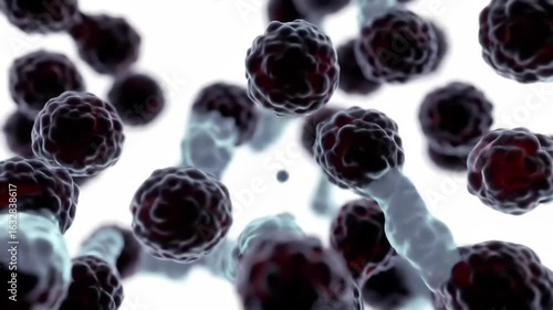 Microscopic View of Cells Dividing and Multiplying