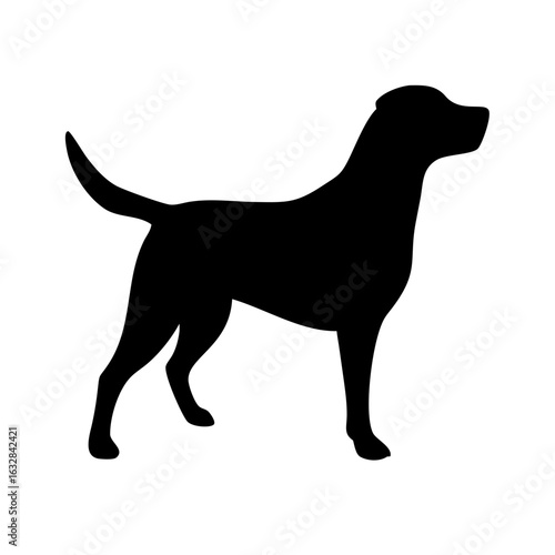 Dog: The Loyal Companion and Beloved Pet