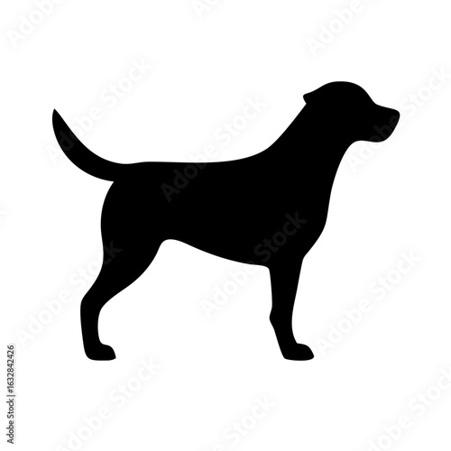 Dog: The Loyal Companion and Beloved Pet