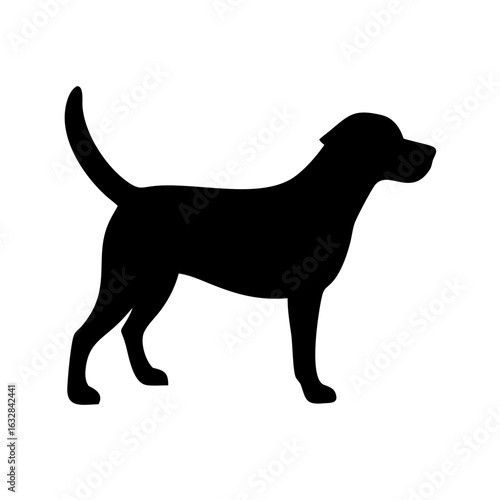 Dog: The Loyal Companion and Beloved Pet