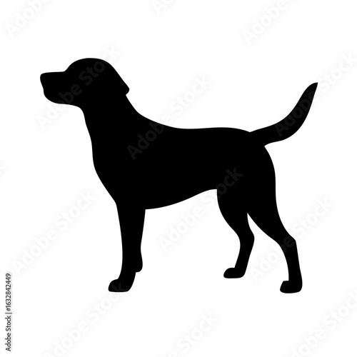 Dog: The Loyal Companion and Beloved Pet