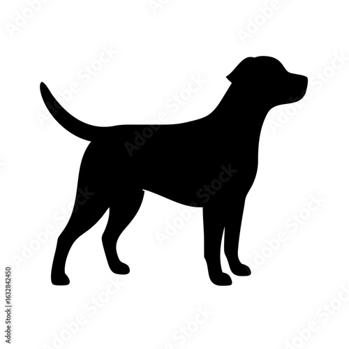Dog: The Loyal Companion and Beloved Pet