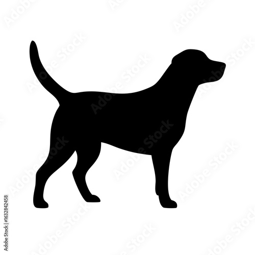 Dog: The Loyal Companion and Beloved Pet