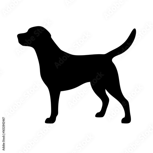 Dog: The Loyal Companion and Beloved Pet