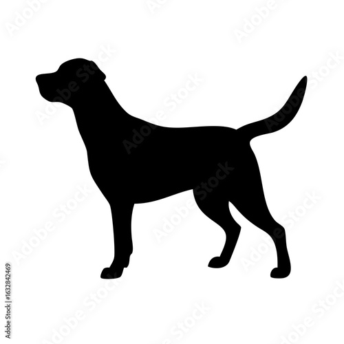 Dog: The Loyal Companion and Beloved Pet