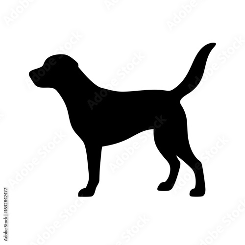 Dog: The Loyal Companion and Beloved Pet
