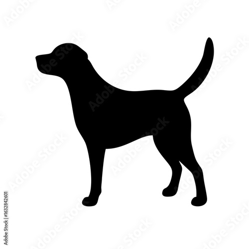 Dog: The Loyal Companion and Beloved Pet
