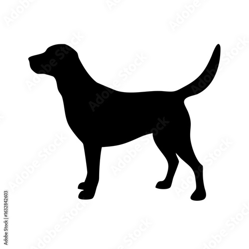Dog: The Loyal Companion and Beloved Pet