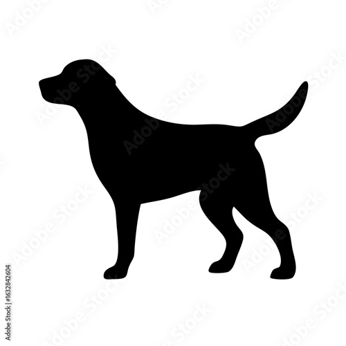 Dog: The Loyal Companion and Beloved Pet