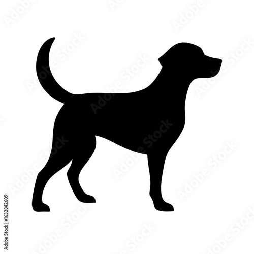 Dog: The Loyal Companion and Beloved Pet