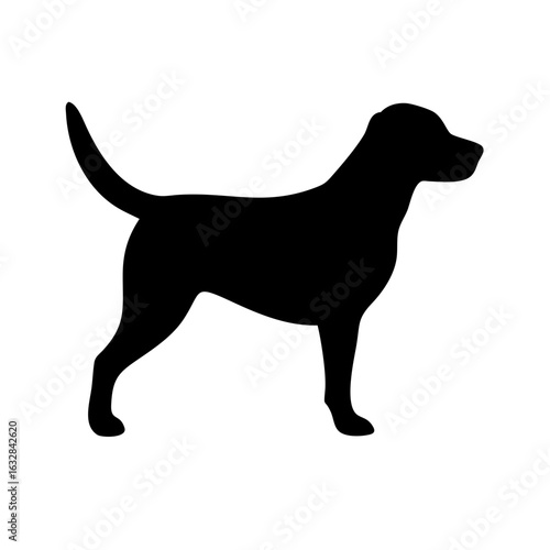Dog: The Loyal Companion and Beloved Pet
