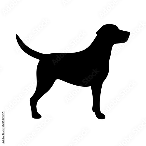 Dog: The Loyal Companion and Beloved Pet
