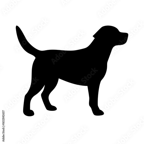 Dog: The Loyal Companion and Beloved Pet