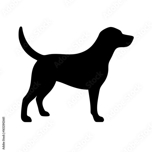Dog: The Loyal Companion and Beloved Pet
