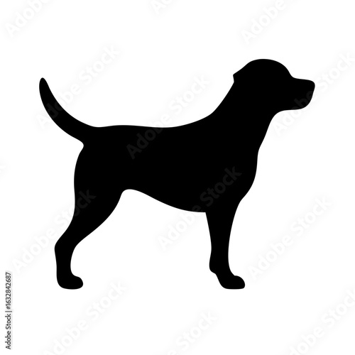 Dog: The Loyal Companion and Beloved Pet
