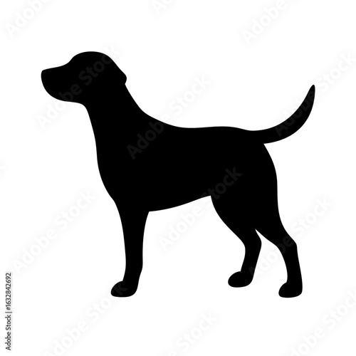 Dog: The Loyal Companion and Beloved Pet