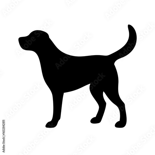 Dog: The Loyal Companion and Beloved Pet