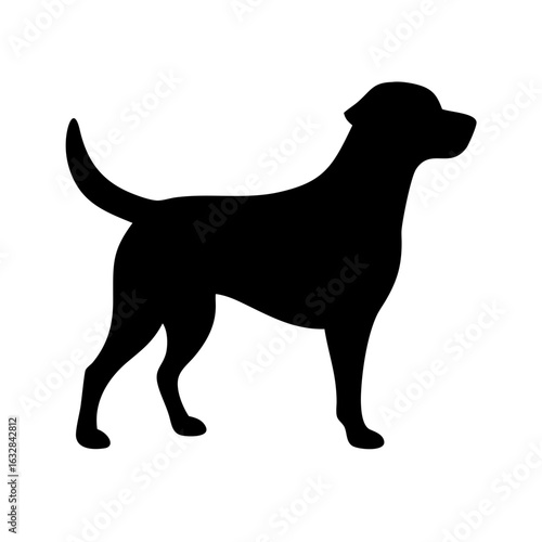 Dog: The Loyal Companion and Beloved Pet