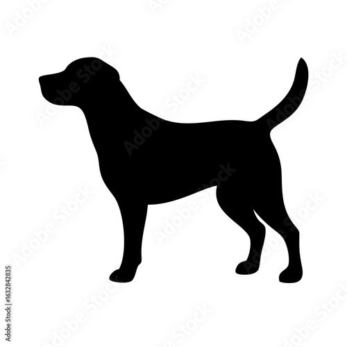 Dog: The Loyal Companion and Beloved Pet