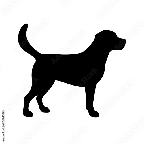 Dog: The Loyal Companion and Beloved Pet