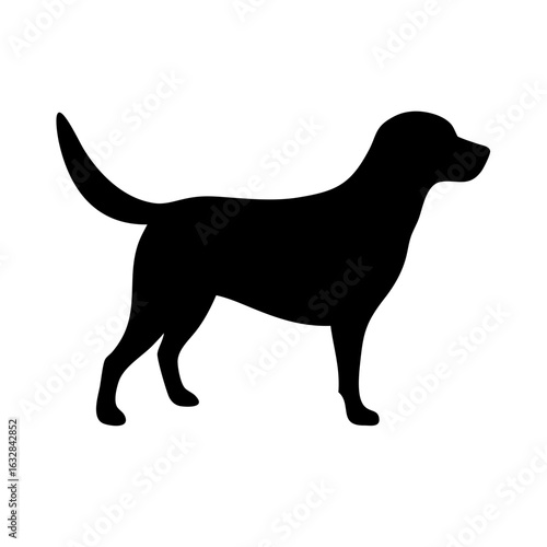 Dog: The Loyal Companion and Beloved Pet
