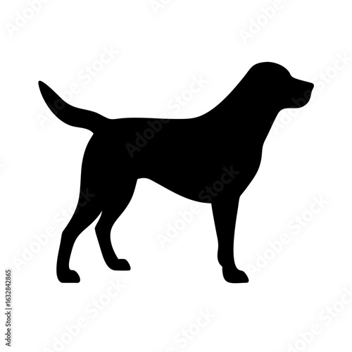 Dog: The Loyal Companion and Beloved Pet