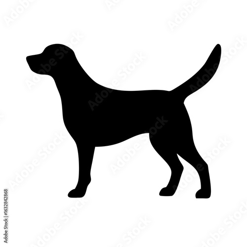 Dog: The Loyal Companion and Beloved Pet