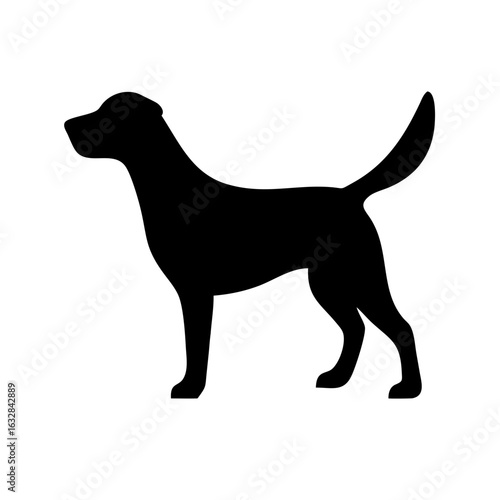 Dog: The Loyal Companion and Beloved Pet