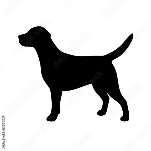 Dog: The Loyal Companion and Beloved Pet