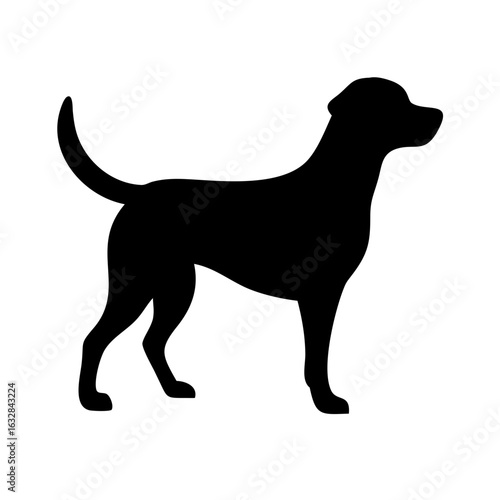 Dog: The Loyal Companion and Beloved Pet