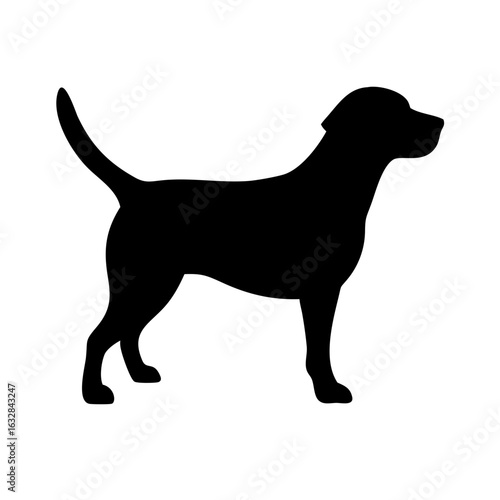 Dog: The Loyal Companion and Beloved Pet