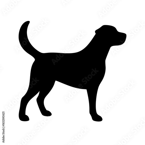 Dog: The Loyal Companion and Beloved Pet