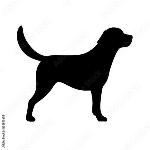 Dog: The Loyal Companion and Beloved Pet