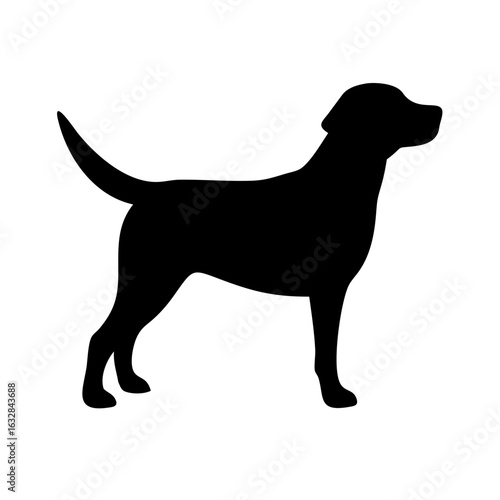 Dog: The Loyal Companion and Beloved Pet
