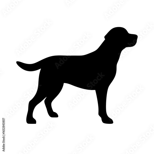 Dog: The Loyal Companion and Beloved Pet