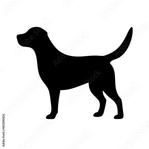 Dog: The Loyal Companion and Beloved Pet