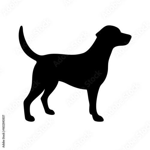 Dog: The Loyal Companion and Beloved Pet