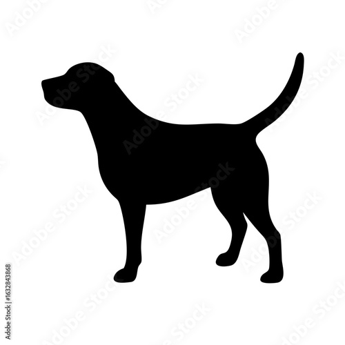 Dog: The Loyal Companion and Beloved Pet