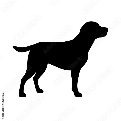 Dog: The Loyal Companion and Beloved Pet