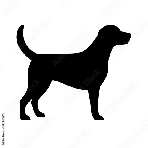 Dog: The Loyal Companion and Beloved Pet