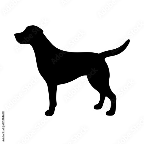Dog: The Loyal Companion and Beloved Pet
