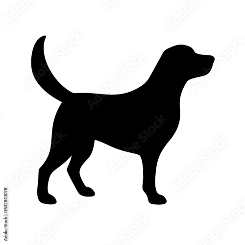 Dog: The Loyal Companion and Beloved Pet