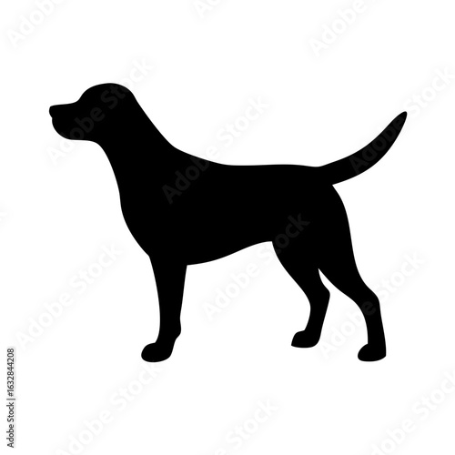 Dog: The Loyal Companion and Beloved Pet