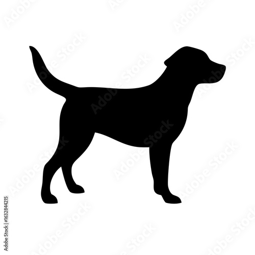 Dog: The Loyal Companion and Beloved Pet