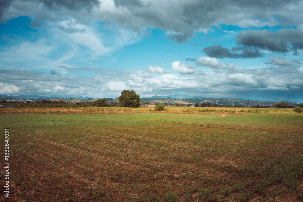 Fototapeta premium Rural landscape of cultivated fields