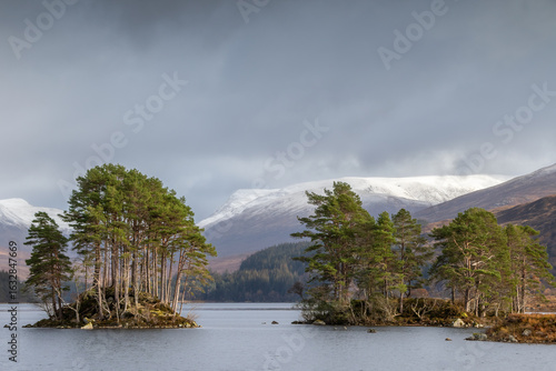 Scots pine trees growing on rocky islets on Loch Ossian. In the background, autumn hills dusted with snow. Corrour, Highlands, Scotland, UK
