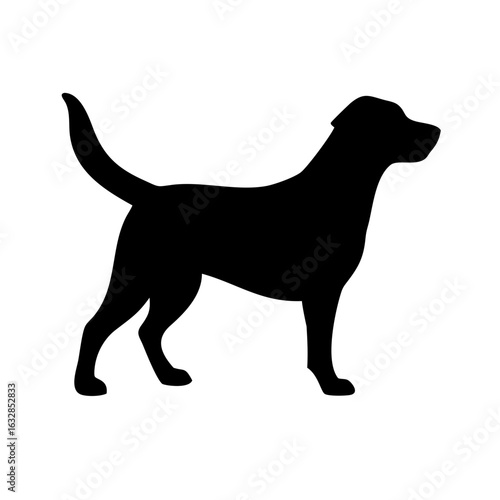 Dog: The Loyal Companion and Beloved Pet