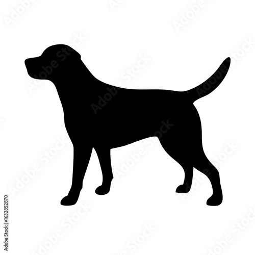 Dog: The Loyal Companion and Beloved Pet